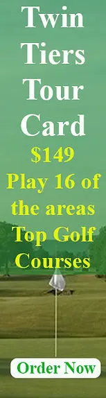 TTG Skyscraper Ad.jpg
